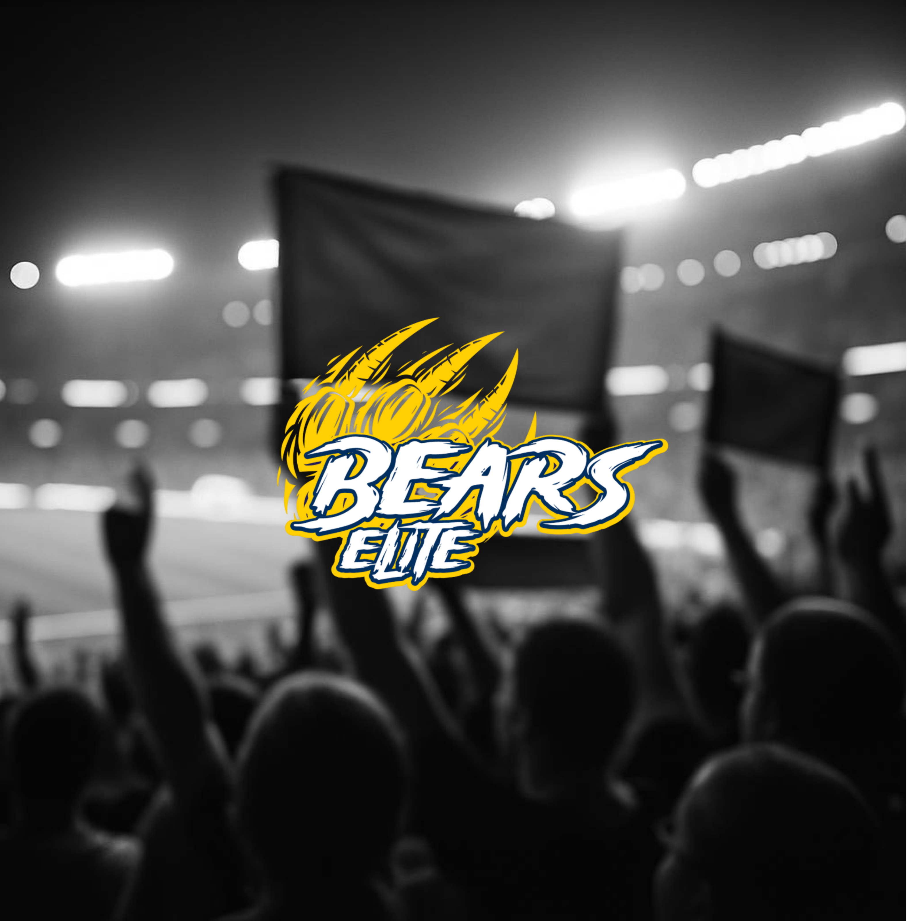 Bears Elite Merch